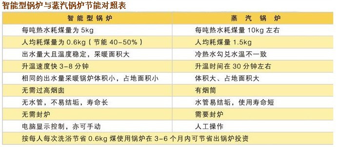 CLHG智能溫控洗浴供暖鍋爐