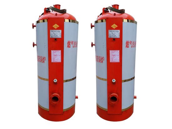 0.12噸、 0.2噸立式燃?xì)猓ㄈ加停┱羝仩t